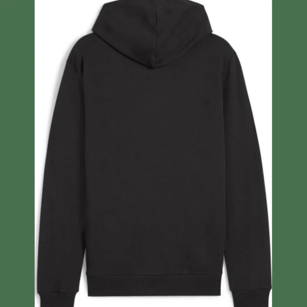 teamGOAL Casuals Hooded Herren Sweatshirt