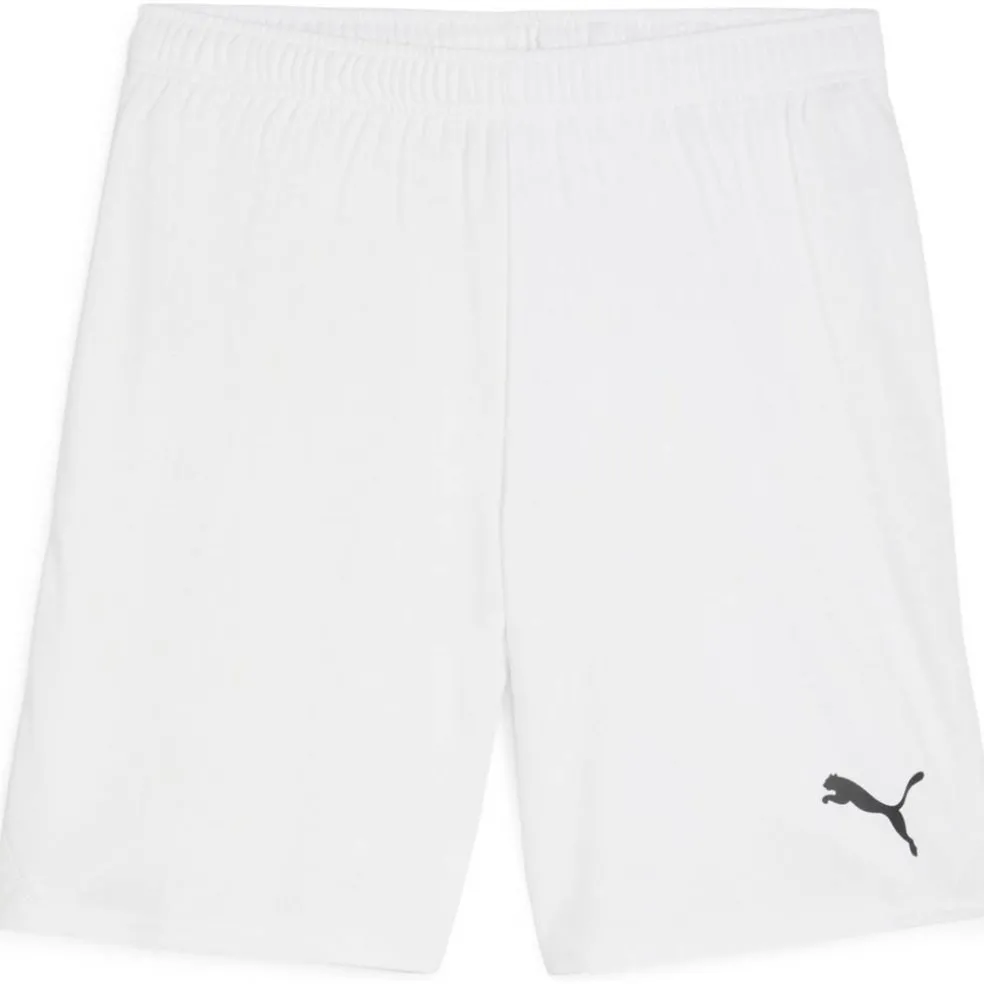 teamGOAL Herren Shorts