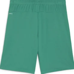 teamGOAL Herren Shorts