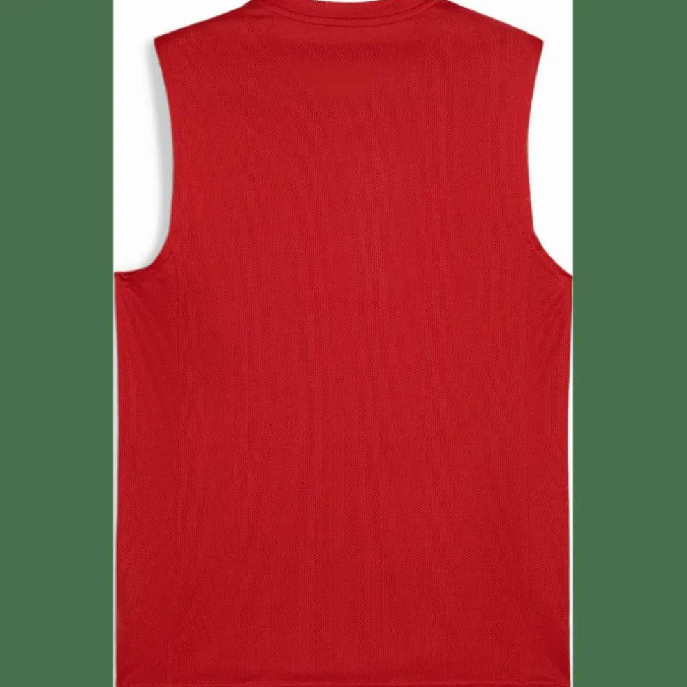 teamGOAL Herren T-Shirt