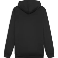 teamGOAL Training Herren Kapuzensweater