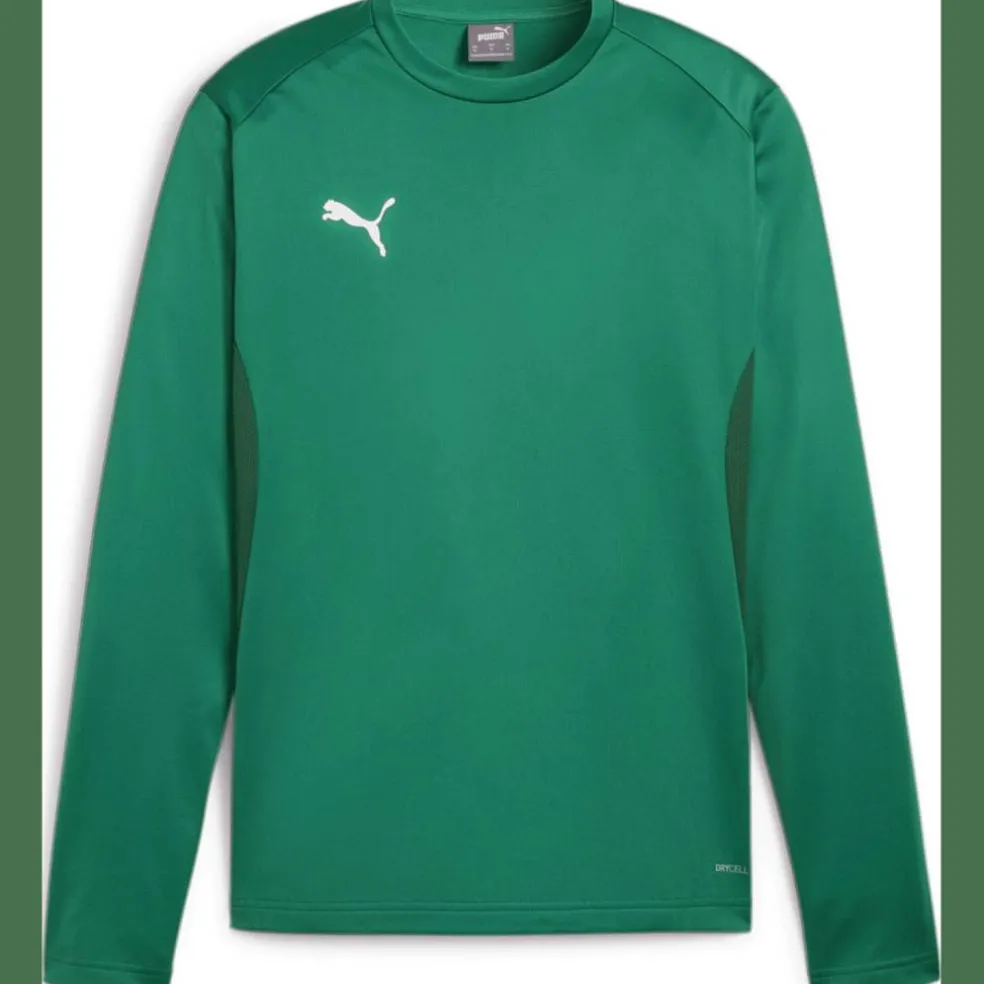 teamGOAL Training Herren Sweatshirt