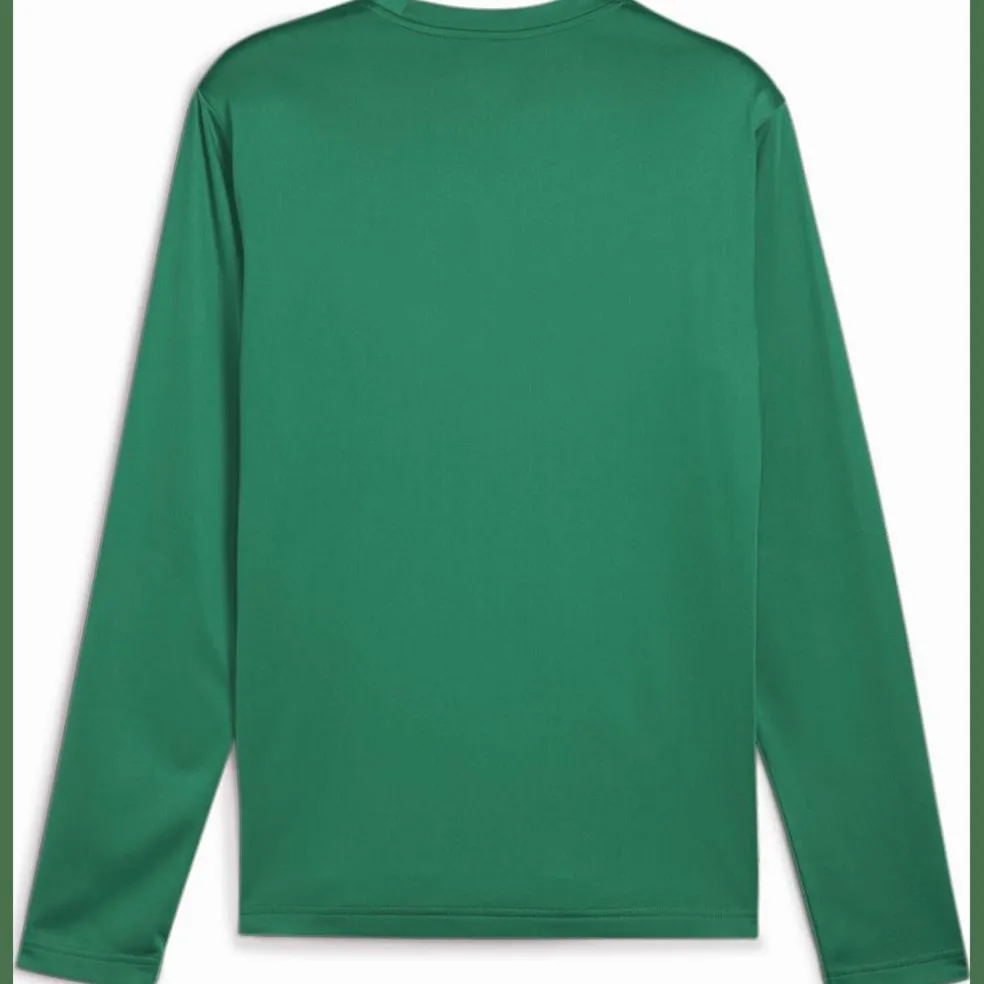 teamGOAL Training Herren Sweatshirt