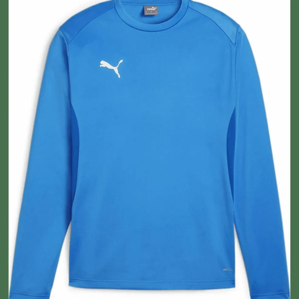 teamGOAL Training Herren Sweatshirt
