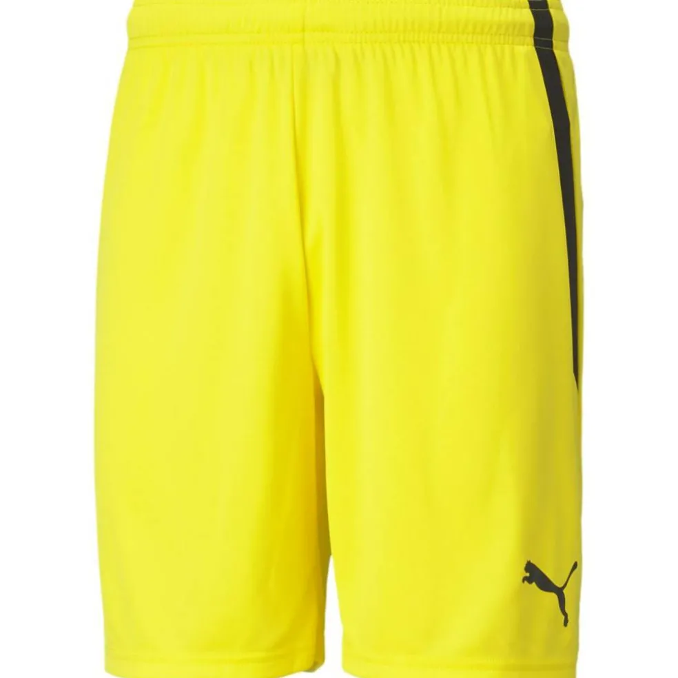 TeamLIGA Herren Shorts