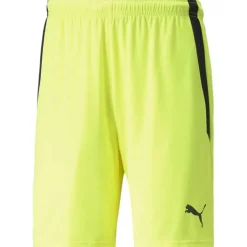 TeamLIGA Herren Shorts