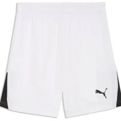 Teamliga26 Herren Shorts