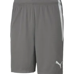 TeamLIGA Herren Shorts