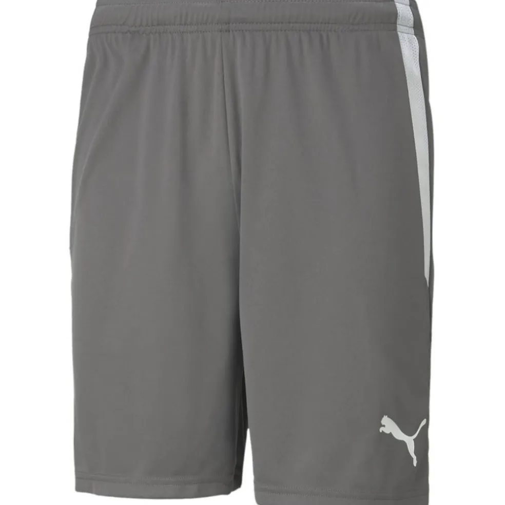 TeamLIGA Herren Shorts
