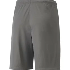 TeamLIGA Herren Shorts