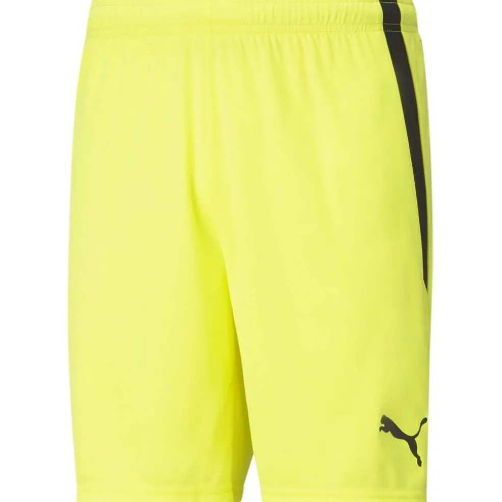 TeamLIGA Herren Shorts