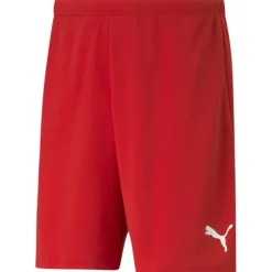 TeamRISE Short Herren Shorts