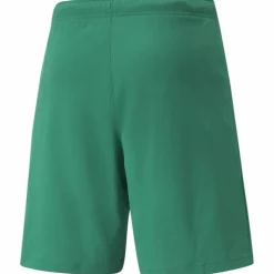 TeamRISE Short Herren Shorts