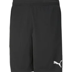TeamRISE Training Herren Shorts