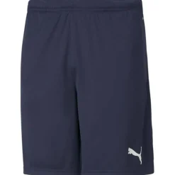 TeamRISE Training Herren Shorts
