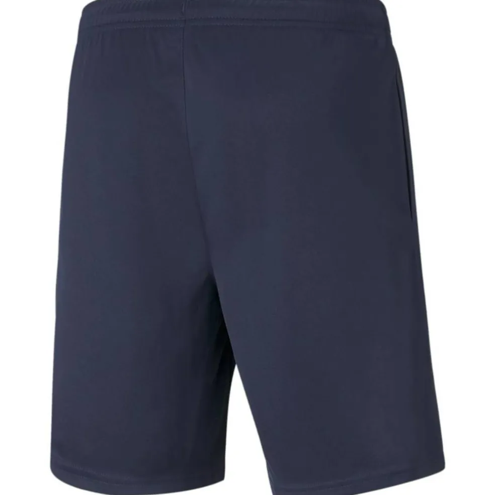 TeamRISE Training Herren Shorts