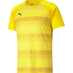 TeamVISION Herren T-Shirt