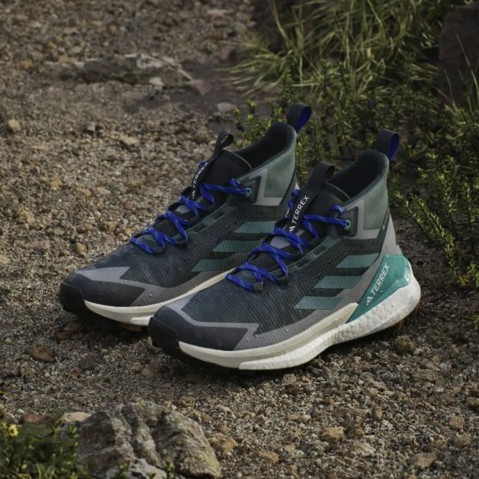 Terrex Free Hiker 2 GTX Herren Multifunktionsschuhe