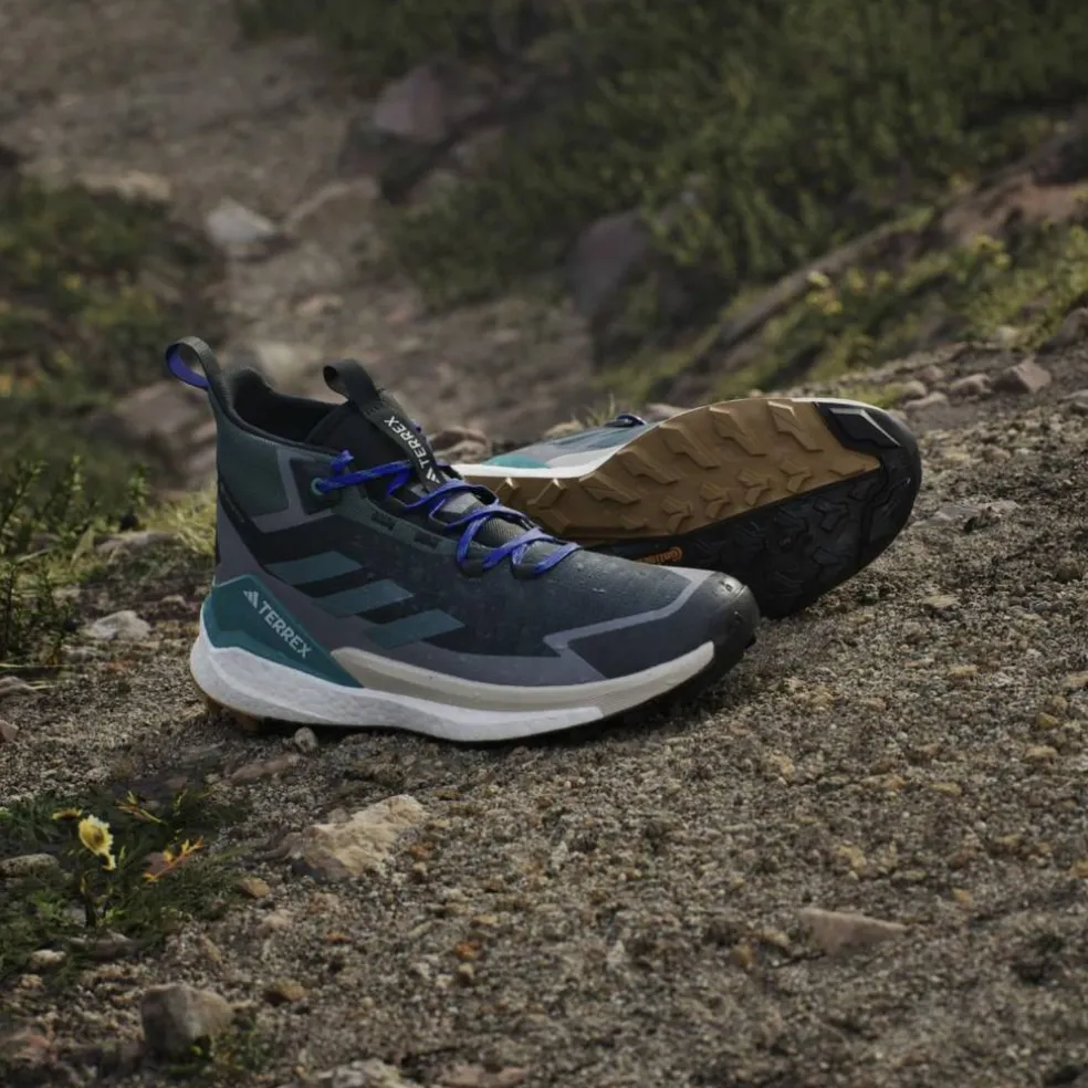 Terrex Free Hiker 2 GTX Herren Multifunktionsschuhe