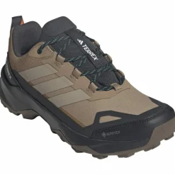 Terrex Skychaser AX5 GTX Herren Multifunktionsschuhe