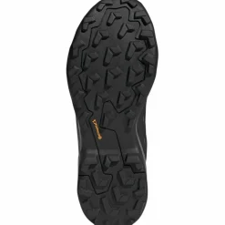 Terrex Skychaser AX5 GTX Herren Multifunktionsschuhe