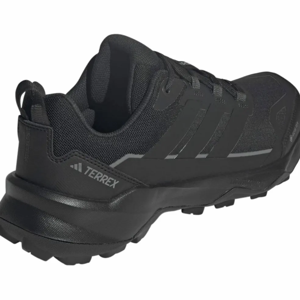 Terrex Skychaser AX5 GTX Herren Multifunktionsschuhe