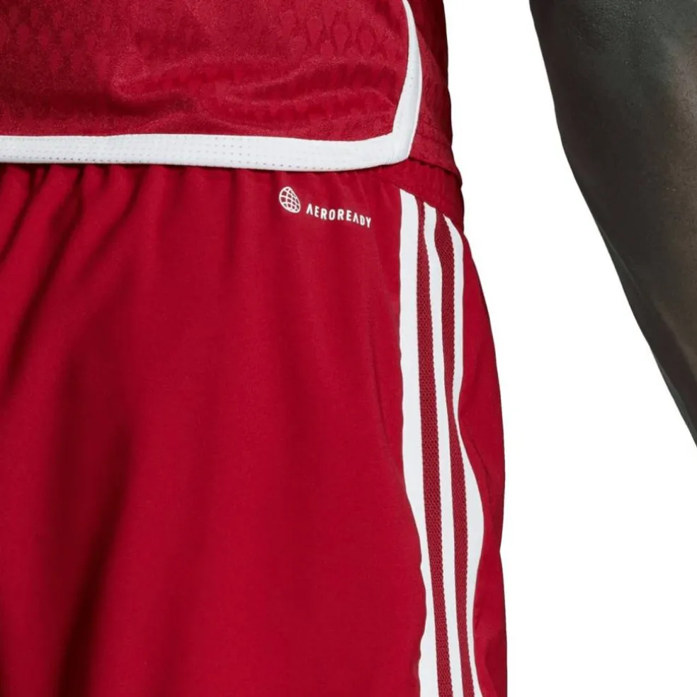 Tiro 23 Competition Match Herren Shorts