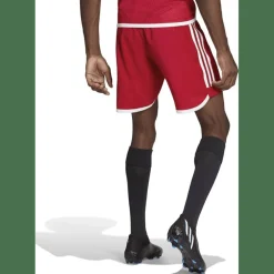 Tiro 23 Competition Match Herren Shorts