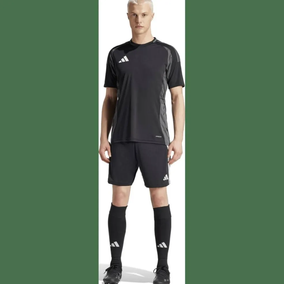 Tiro 24 Herren Shorts