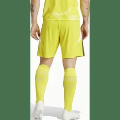 Tiro 24 Herren Shorts