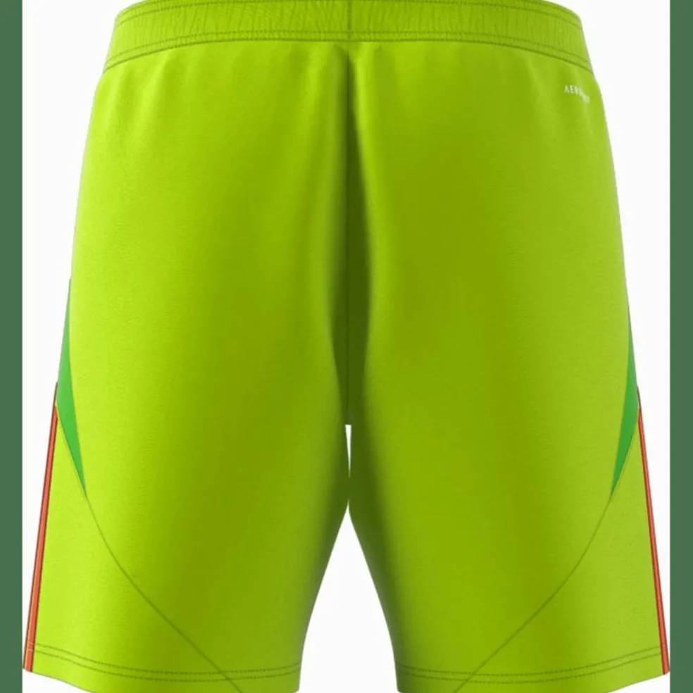 Tiro 24 Herren Shorts