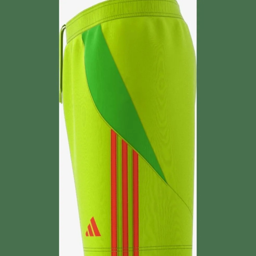 Tiro 24 Herren Shorts