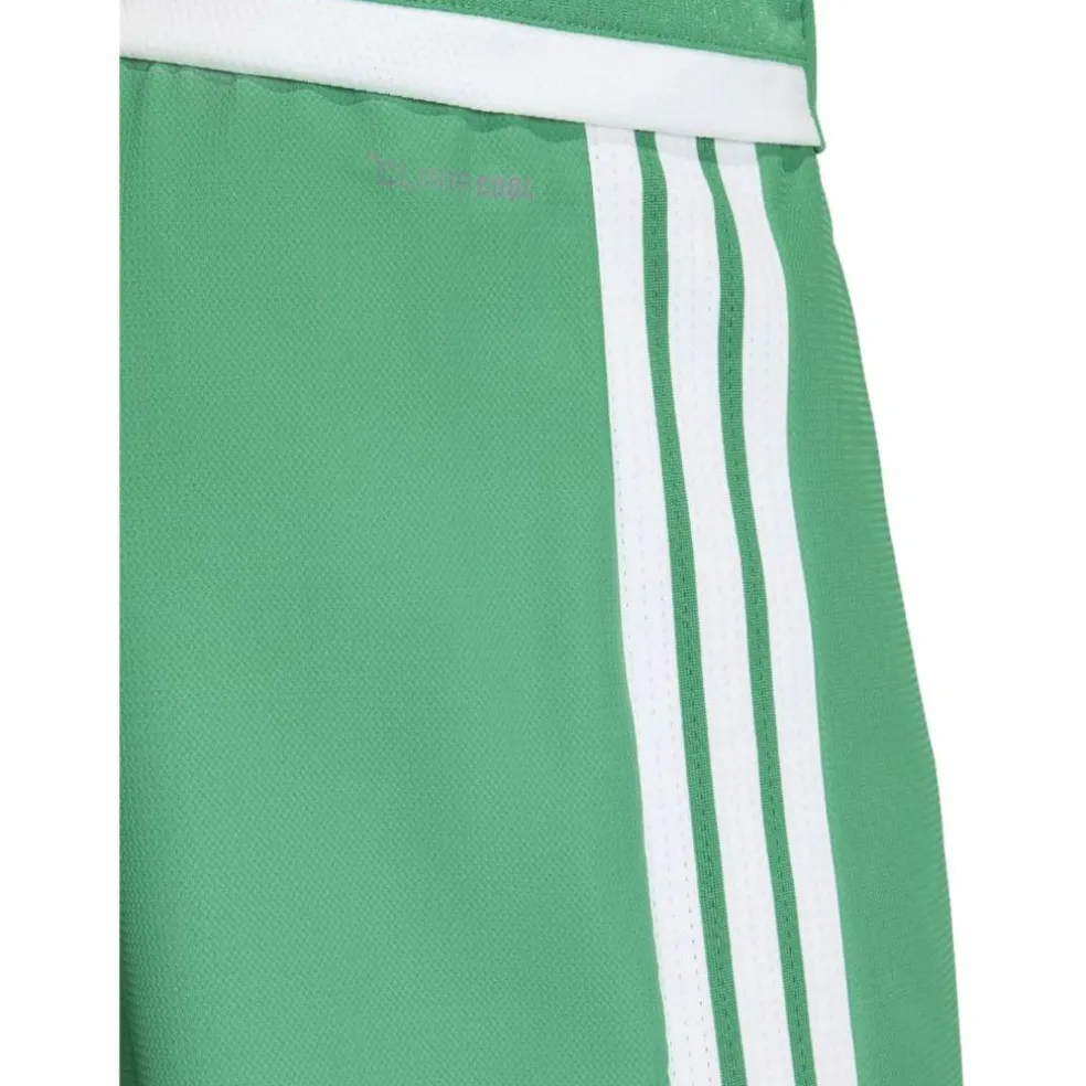Tiro26 Competition Match DAY Shorts Herren Shorts