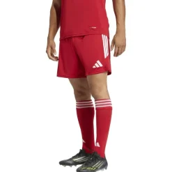 Tiro26 League Herren Shorts