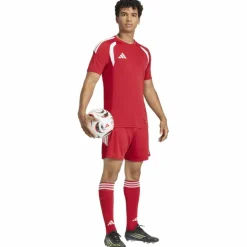 Tiro26 League Herren Shorts