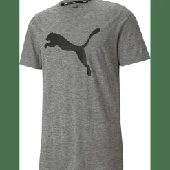 Train FAV Heather CAT SS TEE Herren T-Shirt