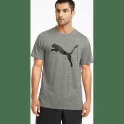 Train FAV Heather CAT SS TEE Herren T-Shirt