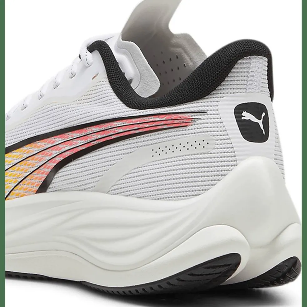 Velocity Nitro 3 Herren Laufschuhe