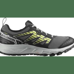 Wander GTX Herren Trailrunningschuhe