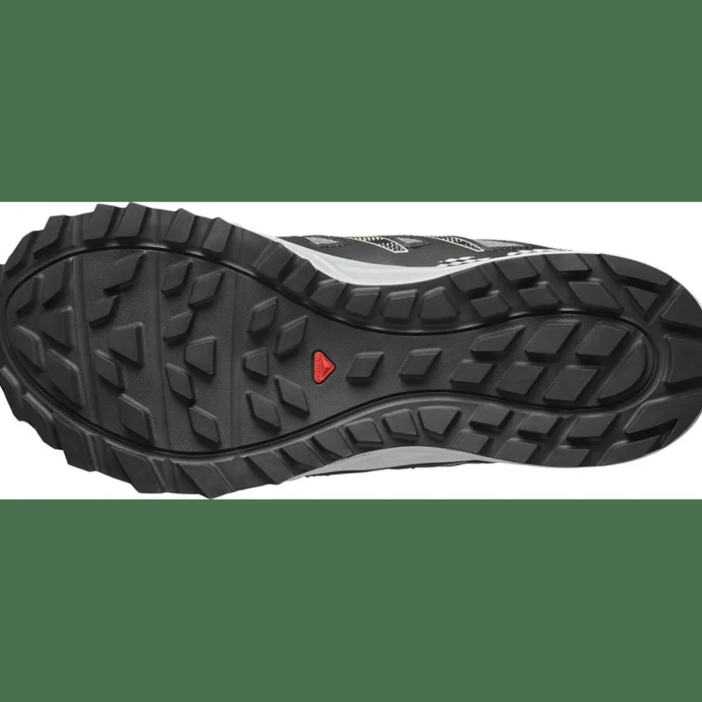 Wander GTX Herren Trailrunningschuhe