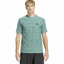 Workout Essentials Flex T-Shirt Herren T-Shirt