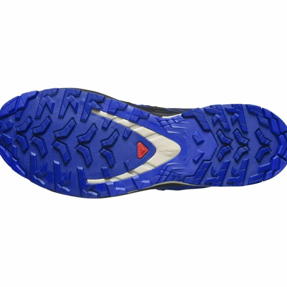 XA Pro 3D V9 GTX Herren Trailrunningschuhe
