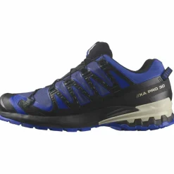 XA Pro 3D V9 GTX Herren Trailrunningschuhe