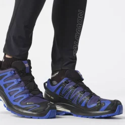 XA Pro 3D V9 GTX Herren Trailrunningschuhe