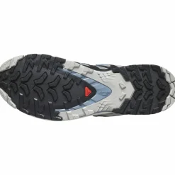 XA Pro 3D V9 GTX Herren Trailrunningschuhe
